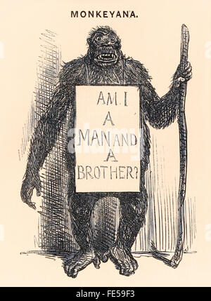 "Ich bin ein Mann und ein Bruder?" liest einen bettelnden Affen Plakat in diesem Cartoon 'Monkeyana' in dieser "Punch oder The London Charivari" Cartoon veröffentlicht im Jahr 1861 veröffentlicht. Siehe Beschreibung für mehr Informationen. Stockfoto