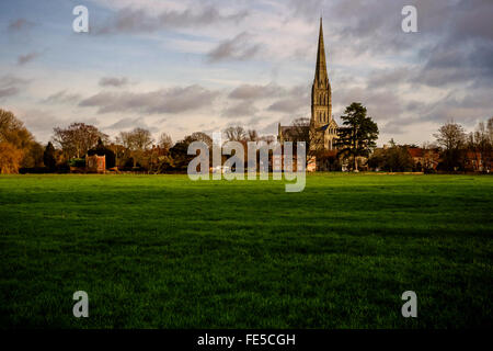 Kathedrale von Salisbury Blick vom Pfad der Stadt Salisbury über die Wasser-Wiesen Stockfoto
