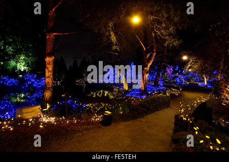 VanDusen Botanical Garden Lichterfest, Vancouver, Kanada Stockfoto