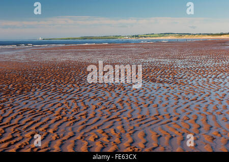 Der Strand von St Cyrus National Nature Reserve - Aberdeenshire, Schottland. Stockfoto