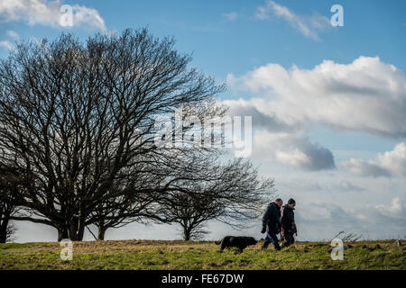 Hund-Wanderer auf Cissbury Ring Hügel Fort in Findon West Sussex. Stockfoto