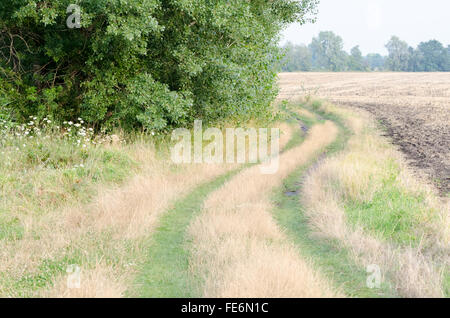 Wicklung-Feldweg nach Regen im Sommer tagsüber Horizontal mit trockenen und grünen Rasen bedeckt Stockfoto