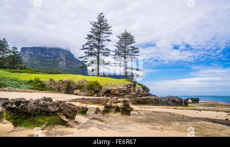 Lord-Howe-Insel in der Tasmanischen See, Unincorporated Bereich von New South Wales, Australien. Felsige Insel Küste bei Cobbys Ecke Stockfoto