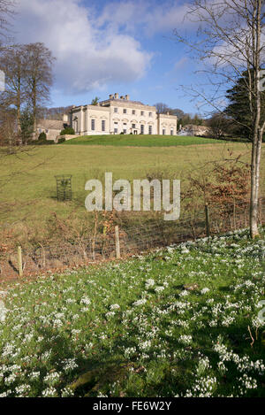 Schneeglöckchen in Painswick Rokoko Gardens mit Painswick Haus in der Ferne. Cotswolds, Gloucestershire, UK Stockfoto