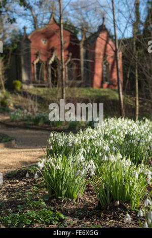 Schneeglöckchen in Painswick Rokoko Gardens. Cotswolds, Gloucestershire, UK Stockfoto