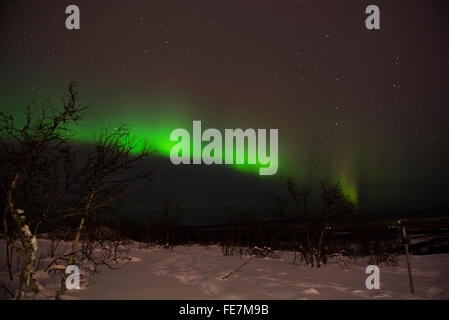 Nordlicht über Kiruna, Schweden, Schwedisch-Lappland in der Nähe von Eishotel. Aurora Borealis Stockfoto