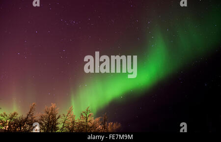 Nordlicht über Kiruna in Schweden nahe dem Eishotel, Schwedisch-Lappland. Aurora borealis Stockfoto