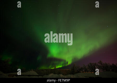 Nordlicht über Kiruna, Schweden, Schwedisch-Lappland in der Nähe von Eishotel. Aurora Borealis Stockfoto