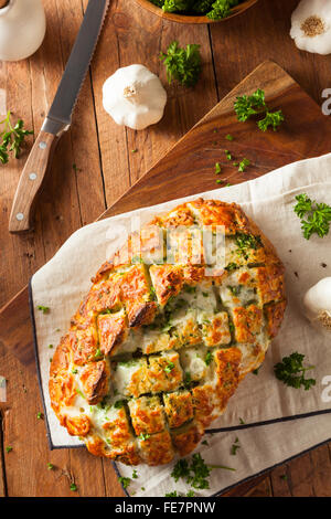 Hausgemachte kitschig Pull auseinander Brot mit Knoblauch und Petersilie Stockfoto