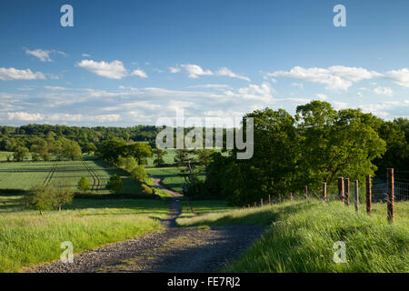 Einen schmalen Feldweg windet sich einen steilen Hang hinunter und durch Farmland sonnigen Abend in der Nähe von Holdenby in Northamptonshire, England. Stockfoto