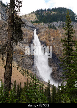 Blick auf gespeisten Wasserfälle an einem bewölkten Tag; Yoho-Nationalpark, in der Nähe von Field, Britisch-Kolumbien, Kanada Stockfoto