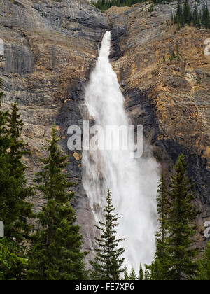 Blick auf gespeisten Wasserfälle an einem bewölkten Tag; Yoho-Nationalpark, in der Nähe von Field, Britisch-Kolumbien, Kanada Stockfoto