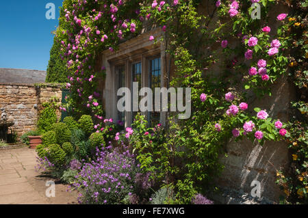 Sommerblumen und rosa Rosen umrahmen ein Pfosten-Fenster auf die Terrasse des Coton Manor in Northamptonshire, England Stockfoto