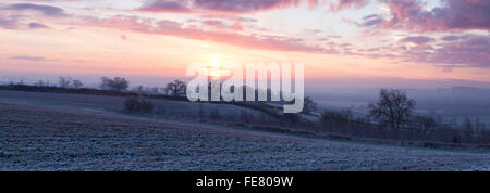 Ein Blick in bunten vor Sonnenaufgang Licht über eine mattierte Landschaft in der Nähe von Northampton in Northamptonshire, England. Stockfoto