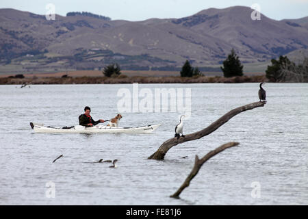 Wird Parsons Treibholz Rückzugs-und Öko-Touren Kajak auf der Lagune am Wairau Bar, Marlborough Stockfoto