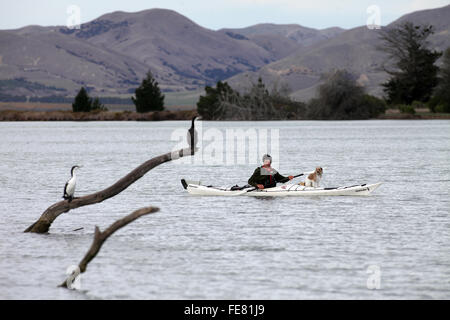 Wird Parsons Treibholz Rückzugs-und Öko-Touren Kajak auf der Lagune am Wairau Bar, Marlborough Stockfoto