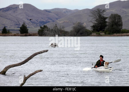 Wird Parsons Treibholz Rückzugs-und Öko-Touren Kajak auf der Lagune am Wairau Bar, Marlborough Stockfoto