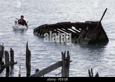 Wird Parsons Treibholz Rückzugs-und Öko-Touren Kajak auf der Lagune am Wairau Bar, Marlborough Stockfoto