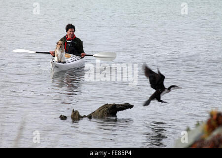 Wird Parsons Treibholz Rückzugs-und Öko-Touren Kajak auf der Lagune am Wairau Bar, Marlborough Stockfoto