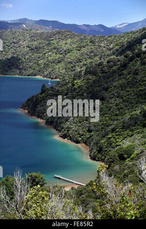 Üppige Buschlandschaft und blaues Wasser von einem hohen Punkt auf den Queen Charlotte Track, Marlborough, Neuseeland betrachtet. Stockfoto