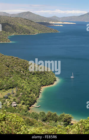 Üppige Buschlandschaft und blaues Wasser von einem hohen Punkt auf den Queen Charlotte Track, Marlborough, Neuseeland betrachtet. Stockfoto