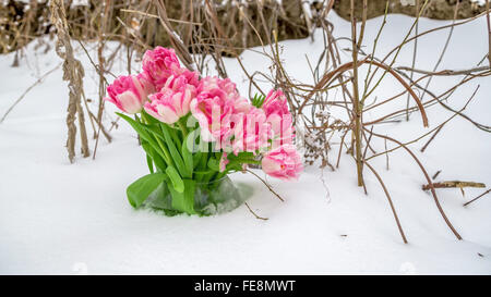 Frische Blumen in einer Vase stehen im Schnee auf einem Hintergrund von trockenen Zweigen. Tulpen in einer Schneewehe. Stockfoto