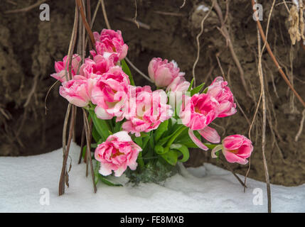 Frische Blumen in einer Vase stehen im Schnee auf einem Grunge Hintergrund Stockfoto