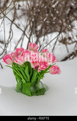 Frische Blumen in einer Vase stehen im Schnee auf einem Hintergrund von trockenen Zweigen. Tulpen in einer Schneewehe. Stockfoto