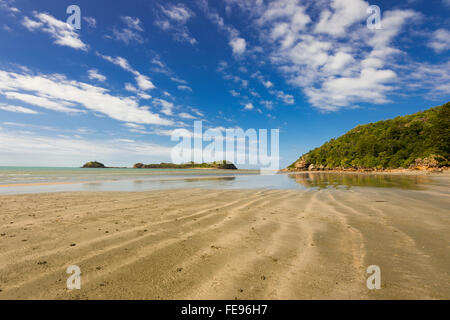 Cape Hillsborough, Queensland, Australien Stockfoto