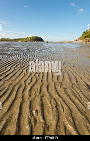 Cape Hillsborough, Queensland, Australien Stockfoto