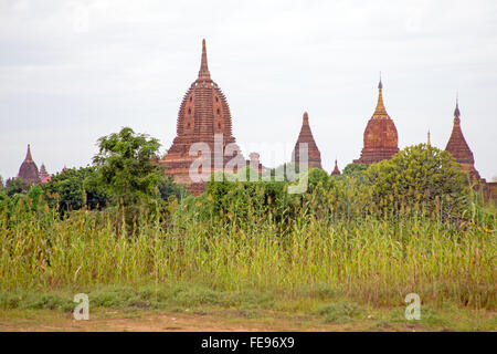 Antike Tempel in Bagan, Myanmar Stockfoto