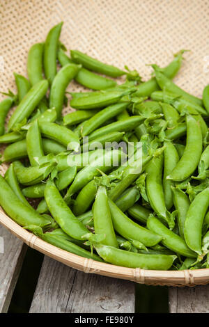 Frische, Bio snap Erbsen Hülsenfrüchte in Korb für Verkauf an Farmers Market Stockfoto