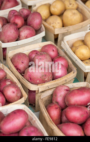 Frische Produkte Bio rote und weiße neue Kartoffeln aus Holz Körbe für Verkauf an Farmers Market Stockfoto