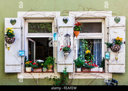 Schöne Fenster mit Blumentöpfen und Fensterläden aus Holz in der Altstadt von Heidelberg. Stockfoto