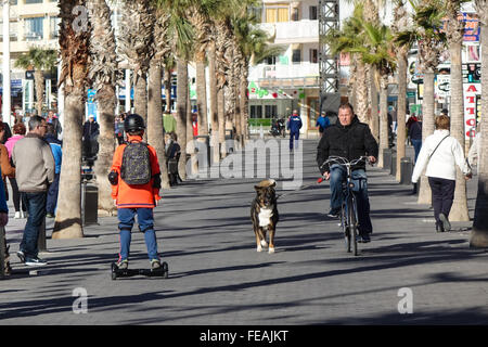 Junger Mann reitet ein Hoverboard an der Promenade in Benidorn, Spanien Mann mit Fahrrad, während führende Hund Stockfoto