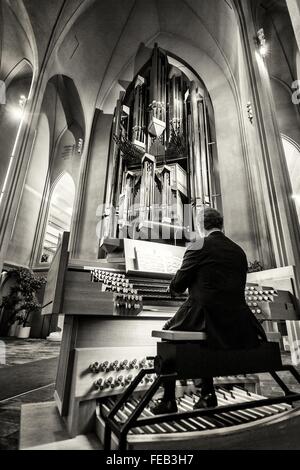 Innenraum der Kirche Hallgrímskirkja in Reykjavík, Island, mit der großen Orgel entworfen von der Deutsche Johannes Klais. Stockfoto