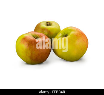 Organische bramley Äpfel isoliert auf weißem Stockfoto