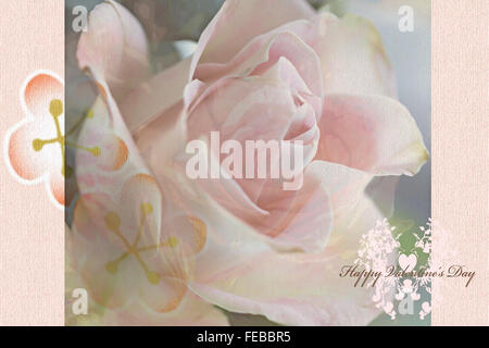 Happy Valentinstag: eine ziemlich zart rosa Rose. Digital verändert und strukturierte Foto. Stockfoto