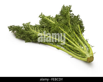 Obst und Gemüse auf weißem Hintergrund Stockfoto