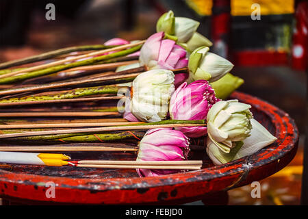 Lotusblumen als Angebot im buddhistischen Tempel Stockfoto