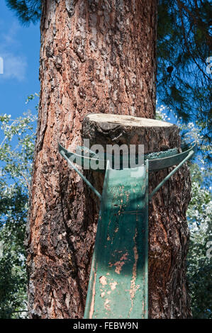 Metallischen Strahl zu stützen, einen Baum in einem öffentlichen Garten Stockfoto