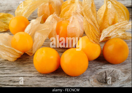 Physalis (Stachelbeeren) auf hölzernen Hintergrund Stockfoto