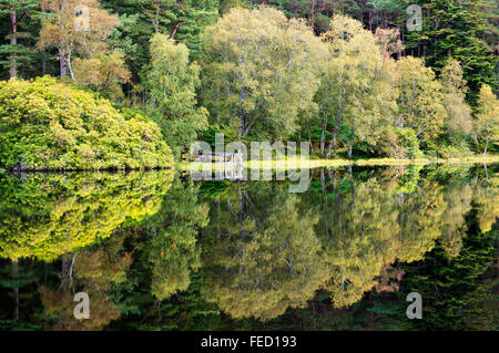 Herbst Reflexionen in Glencoe Lochan, Lochaber, Highlands, Schottland Stockfoto