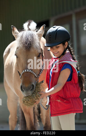 Kleines Mädchen ihr Lieblingspferd eine Handvoll Heu füttern Stockfoto