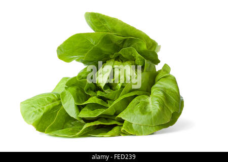 Frische grüne Kleinod Salat auf weißem Hintergrund Stockfoto