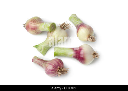 Frisches rohes Schalotten auf weißem Hintergrund Stockfoto