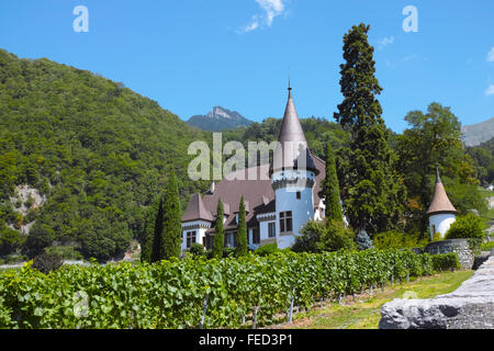 Yvorne, Region Lavaux Weinberge und Château Maison Blanche, Schweiz. Stockfoto