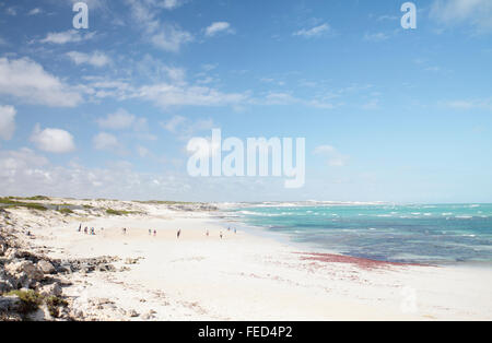 Strand in Arniston, Western Cape, Südafrika Stockfoto