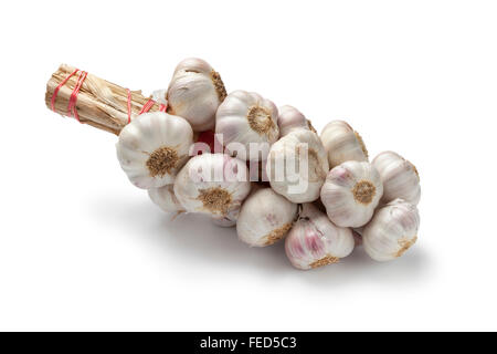 Reihe von Knoblauch Zwiebeln auf weißem Hintergrund Stockfoto