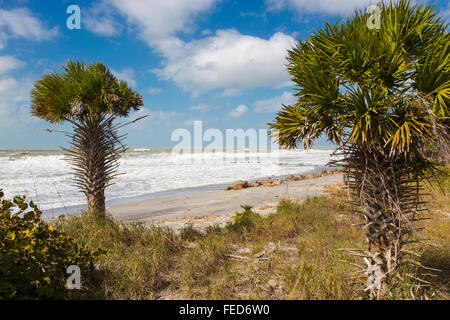 Raue See im Golf von Mexiko am Caspersen Beach in Venice Florida Stockfoto